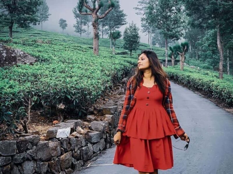 Lipton Seat Legacy: Tuk-Tuk & Train Tea Trails Tour - Who Will Love This Tour?