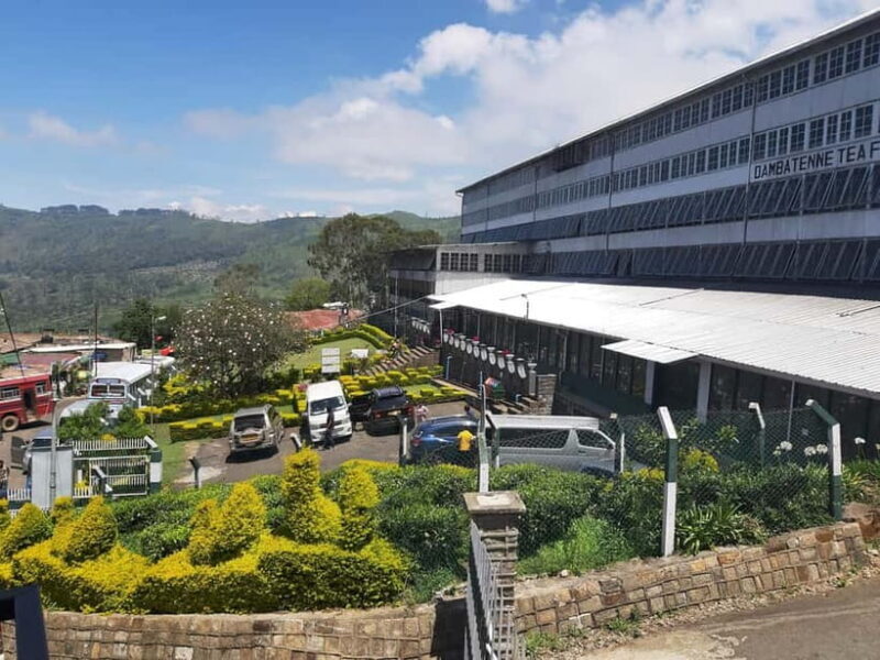 Lipton's Seat, Adisham Bungalow, Dambetenna Tea Factory Tour - The Sum Up