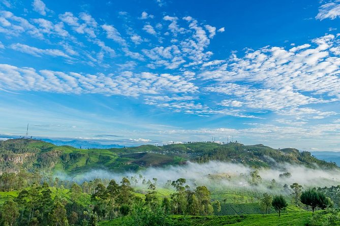 Liptons Seat and Tea Factory,Trail Amidst Tea Plantation Day Tour - Tour Highlights