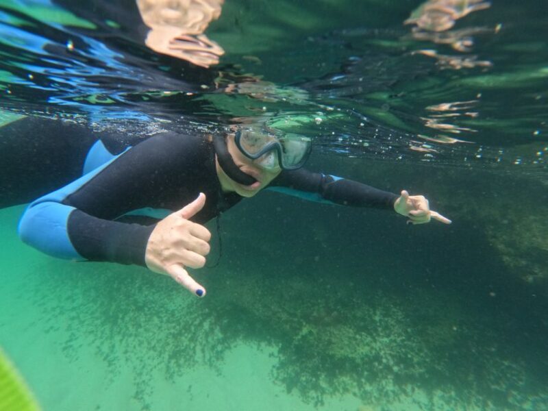 Lisboa: Snorkeling experience in Marine Reserve with photos - The Sum Up