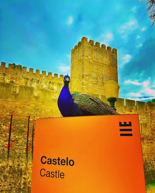 Lisboa The Walking Tour - Tour Highlights