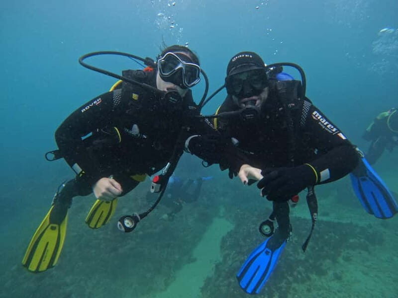 Lisboa:Try Scuba Diving in Arrábida Marine Reserve w/photos - The Value of This Experience