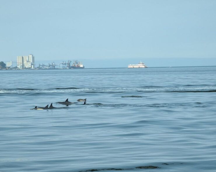 Lisbon: 2 Hr Boat Tour. Exclusive Best Shared Experience. - Tour Highlights