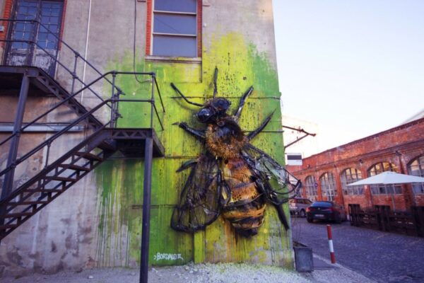 Lisbon: 3-Hour Street Art Tuk Tuk Tour - Languages Available