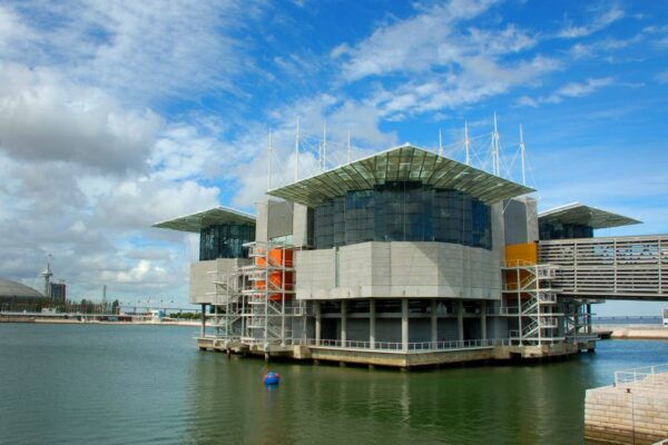 Lisbon 3-in-1 Hop-On Hop-Off Bus and Tram Tours - Hills Tour