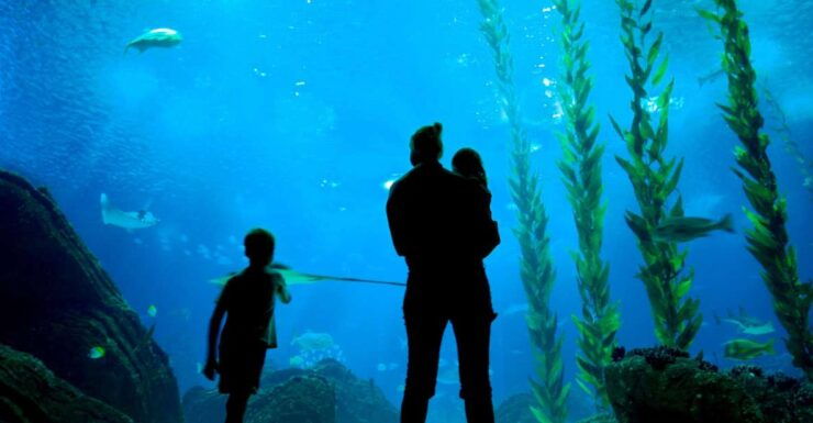 Lisbon: 48-Hour Hop-On-Hop-Off Bus Tour and Oceanarium Entry - Overall Customer Ratings