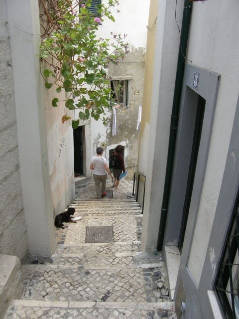 Lisbon: Alfama and São Jorge Castle Quarters Walking Tour - Who Is This Tour Best For?