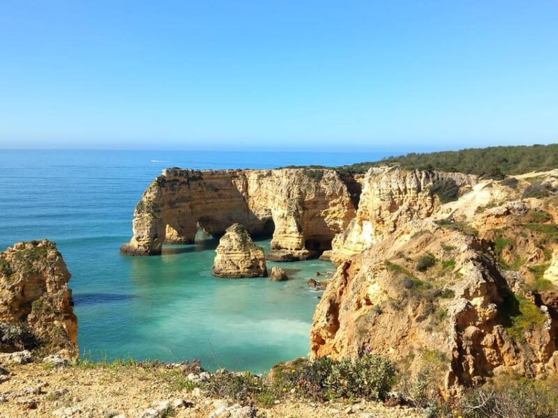 Lisbon: Algarve Coast Tour Including Boat Trip to Caves - Who Will Benefit Most from This Tour?