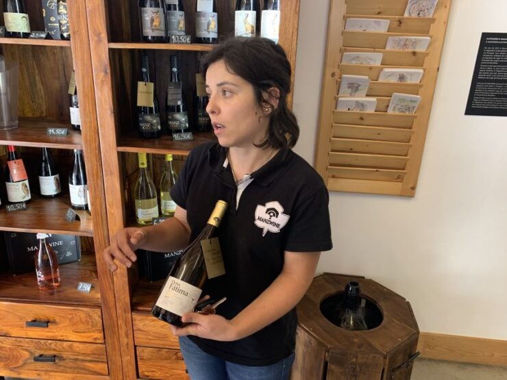 Lisbon Area Wine Tour - Tour Duration and Logistics