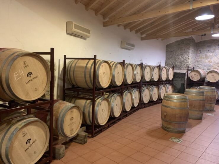 Lisbon Area Wine Tour - Experience Highlights and Itinerary