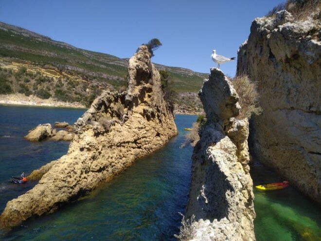 Lisbon: Arrábida All-Inclusive Kayak Adventure Tour - Review Summary