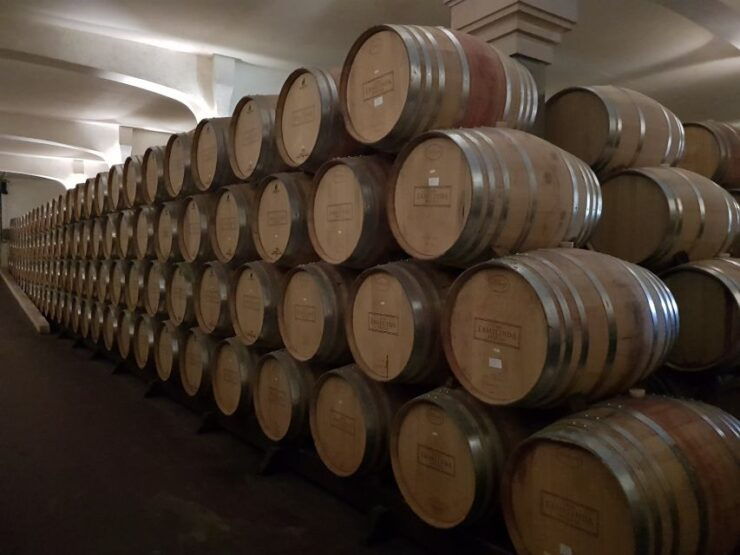 Lisbon: Arrábida Culture, Wine & Gastronomic Experience - Activity Information