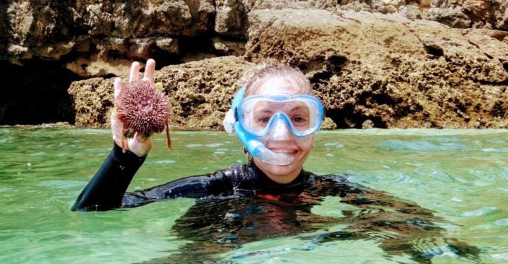 Lisbon: Arrábida Snorkeling Adventure - Experience Highlights