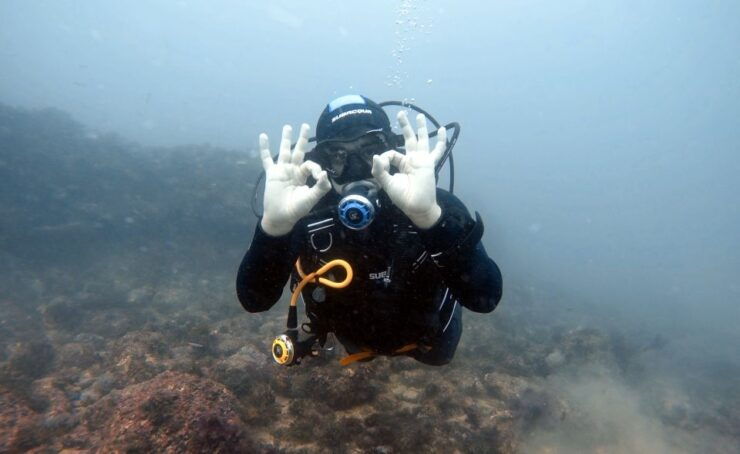 Lisbon: Become a Scuba Diver in 3-Days - Activity Details