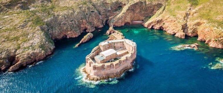Lisbon: Berlenga Grande Island & Mafra Palace Private Trip - How the Day Unfolds