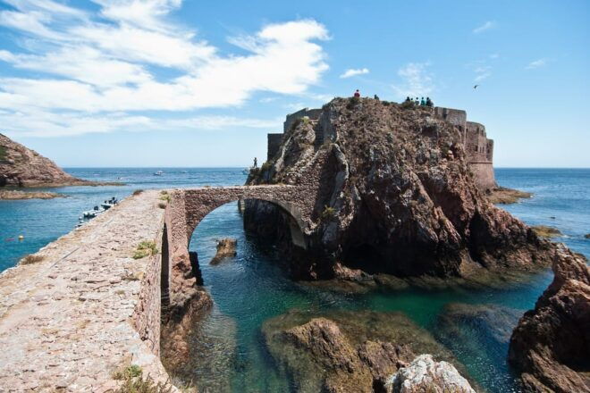 Lisbon: Berlenga Island Full Day Tour - Customer Feedback