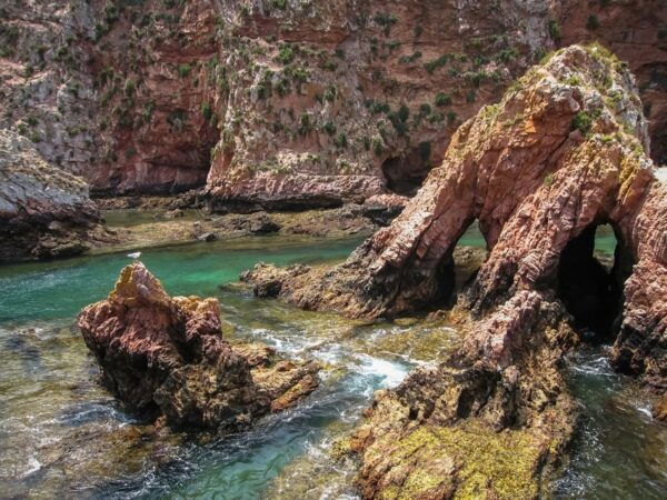 Lisbon: Berlenga Island Full Day Tour - Departure and Transportation