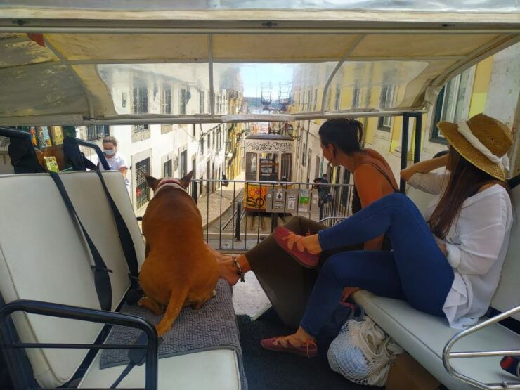 Lisbon: City Highlights Guided Private Tuk-Tuk Tour - Tour Highlights