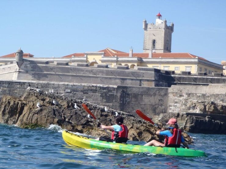 Lisbon Coast Guided Kayak Tour - Experience Highlights