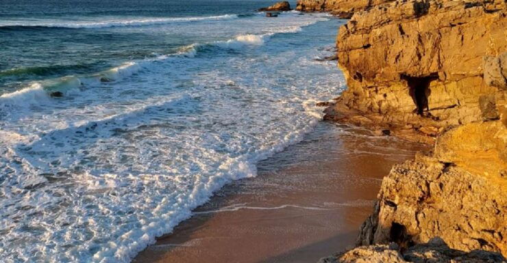 Lisbon Coastal Half Day Private Tour - Tour Details