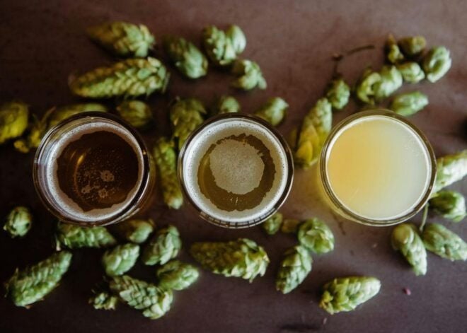 Lisbon: Craft Beer Bars Tour With Tasting - Includes