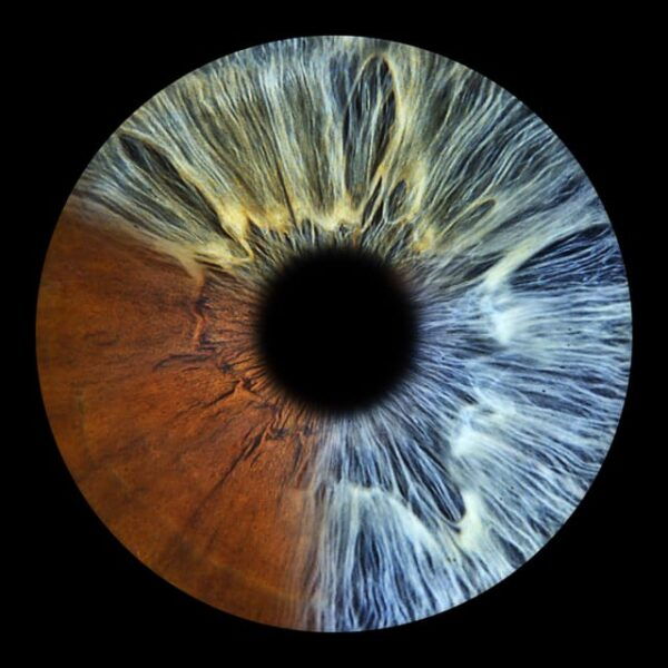 Lisbon - Creation of Necklaces From Your Iris - Necklace Customization