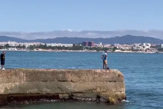 Lisbon Cruise With Dolphin Watching - Meeting and Pickup