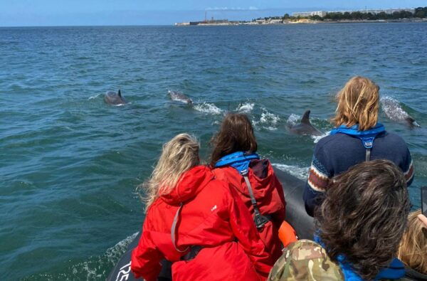 Lisbon: Dolphin Watching Boat Tour - The Sum Up