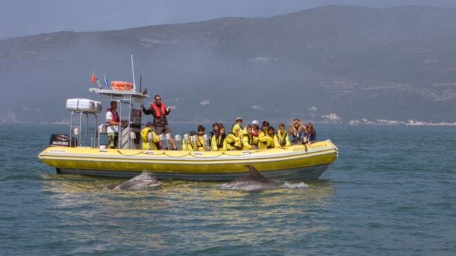 Lisbon: Dolphin Watching in Arrábida Natural Park - Selecting Participants and Date