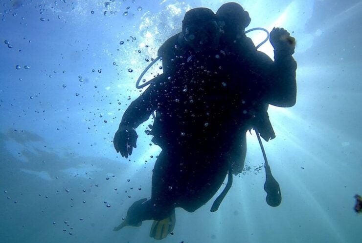 Lisbon: Eco-Friendly Beginners Scuba Diving - Environmental Impact