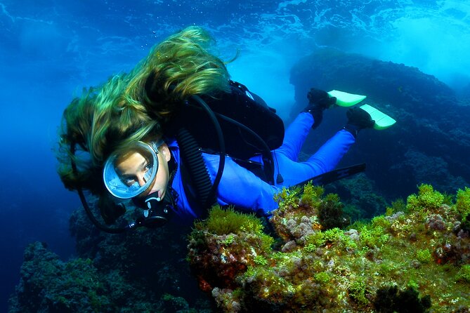 Lisbon Eco-Try Dive - Diving Baptism - Traveler Photos