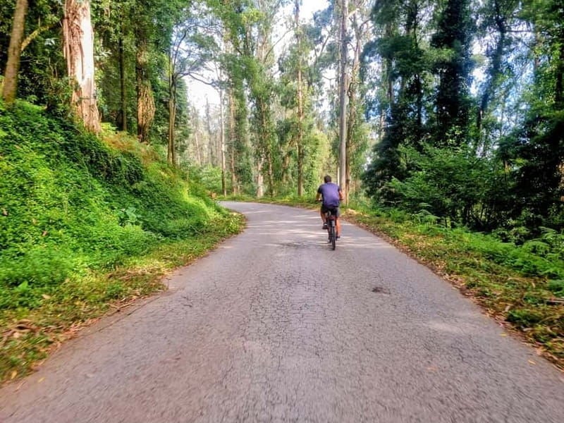 Lisbon: Explore Lisbons Green Lung & Belém by E-Bike - Lisbon: Explore Lisbons Green Lung & Belém by E-Bike — A Detailed Review