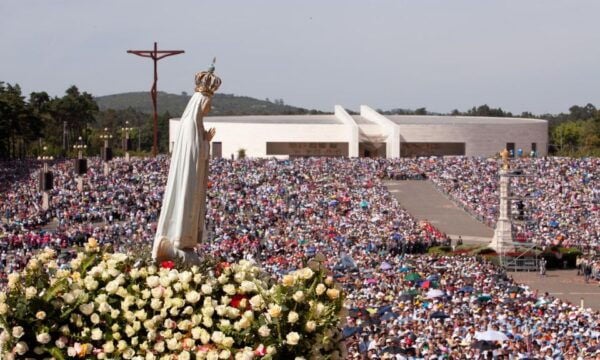 Lisbon: Fátima Half-Day Tour - Common Questions