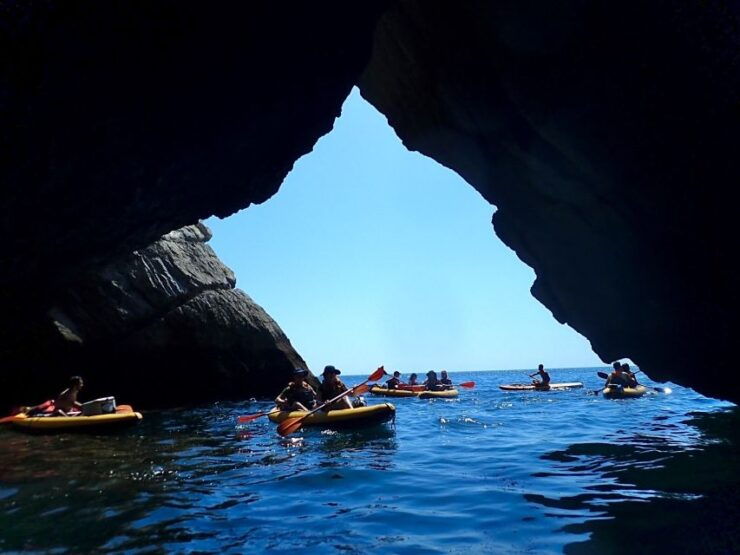 Lisbon: Full-Day Kayak Tour With Picnic and Transfer - Experience Highlights
