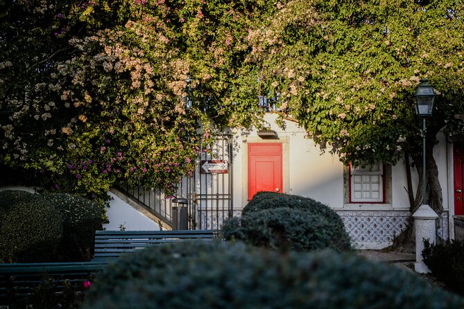 Lisbon Full Day Private Tuk Tuk Tour 6h - Additional Information