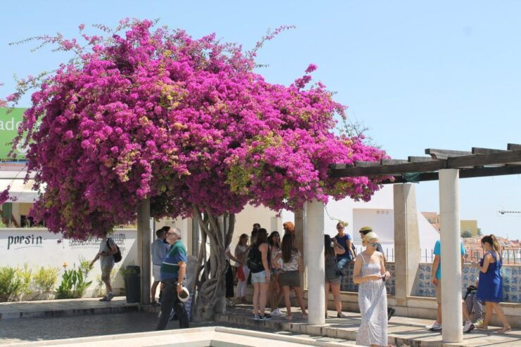 Lisbon: Full-Day Private Walking Sightseeing Tour - Activity Details