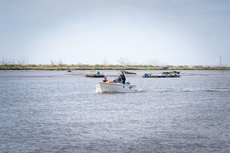 Lisbon: Full-Day Sightseeing Boat Trip - Activity Details