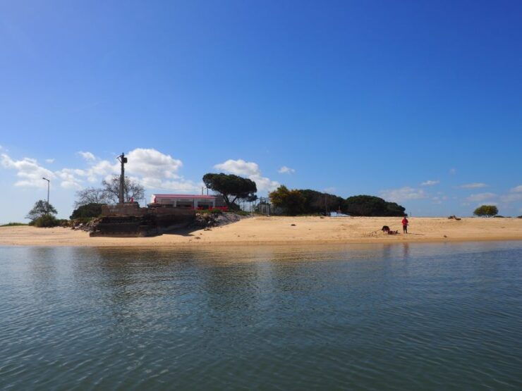 Lisbon: Full-Day Sightseeing Boat Trip - Experience Highlights