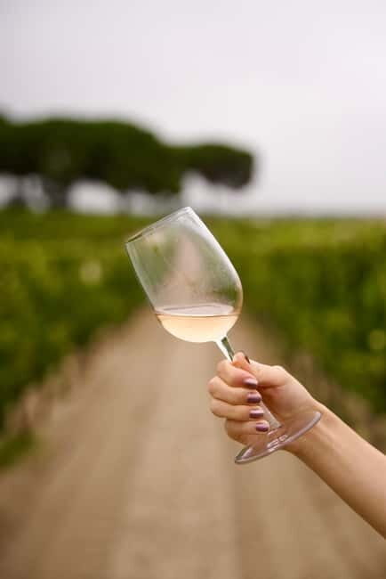 Lisbon: Full-Day Wine Tasting Tour in Setúbal ALL INCLUSIVE - Second Winery: Tasting and Exploring