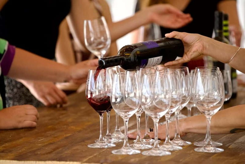 Lisbon: Full-Day Wine Tasting Tour in Setúbal ALL INCLUSIVE - Scenic Return and Sunset Views