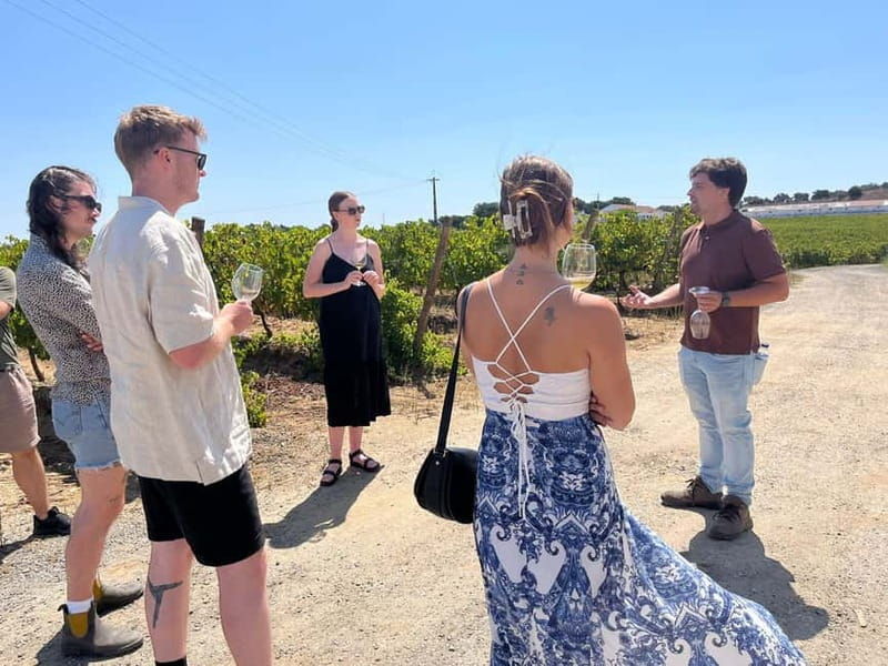 Lisbon: Full-Day Wine Tasting Tour in Setúbal ALL INCLUSIVE - An In-Depth Look at the Lisbon to Setúbal Wine Tour
