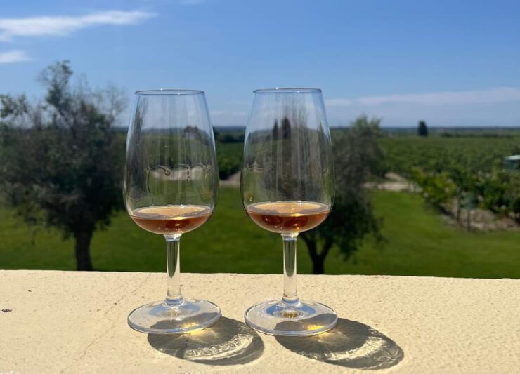 Lisbon: Full-Day Wine Tasting Tour in Setubal & Azeitao - Itinerary and Schedule