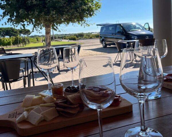 Lisbon: Full-Day Wine Tasting Tour in Setubal & Azeitao - Suitability and Reservations