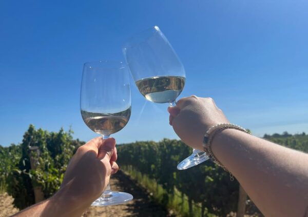 Lisbon: Full-Day Wine Tasting Tour in Setubal & Azeitao - Exploring Wine Culture