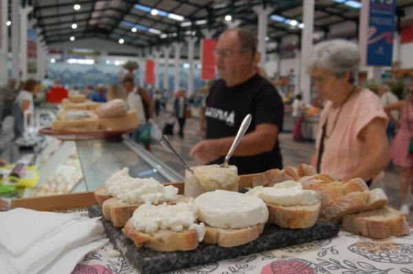 Lisbon Getaway: Private Wine Tour With Wine & Cheese Tasting - Tour Duration and Availability