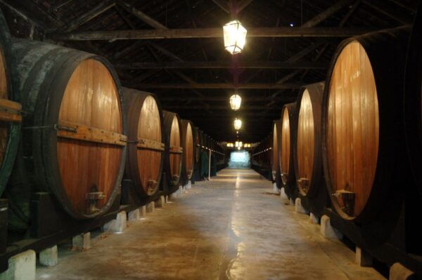 Lisbon Getaway: Private Wine Tour With Wine & Cheese Tasting - The Sum Up