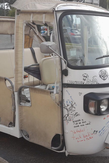 Lisbon: Guided Local Tour in the Oldest Part of the City - Unique Aspects