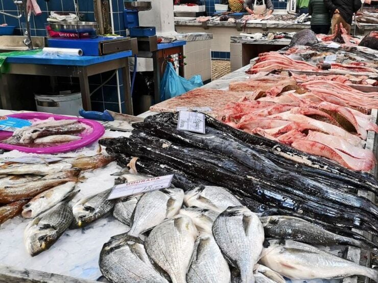 Lisbon: Guided Setúbal History and Fish Market Tour - Tour Details