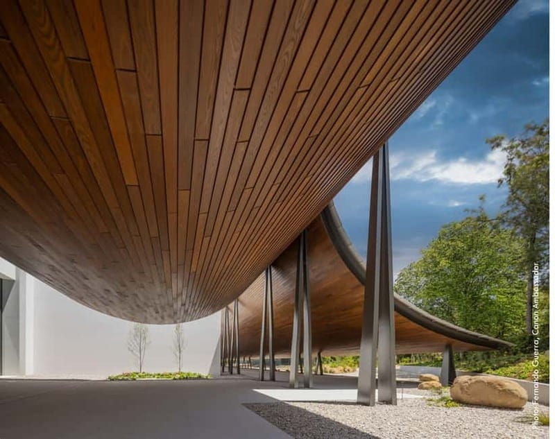 Lisbon: Gulbenkian Collection+Centro de Arte Moderna Ticket - A Closer Look at the Experience