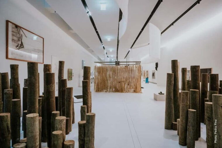 Lisbon: Gulbenkian Collection+Centro de Arte Moderna Ticket - Final Thoughts